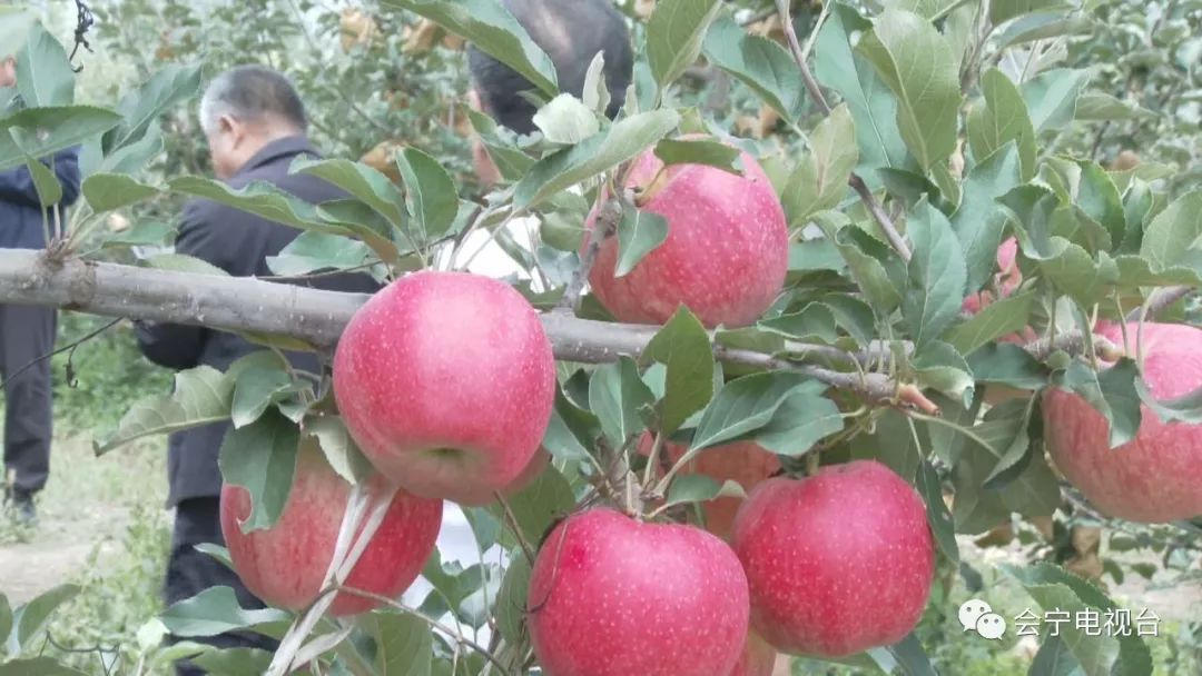 速看甘肃发布重要通知,速看甘肃省政府出台重要意见