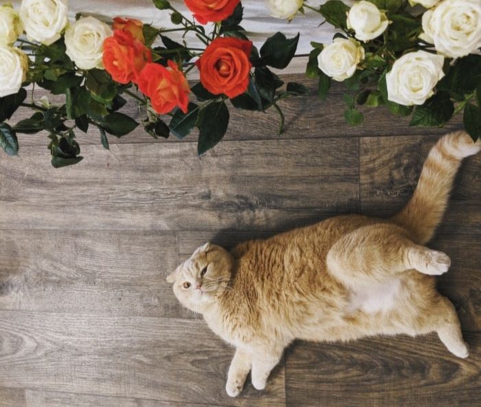 10部世界名著浓缩,10部世界名著浓缩成10句经典语录