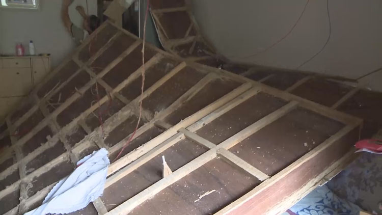 白蚁的破坏力有多强,一般什么白蚁会跑家里破坏