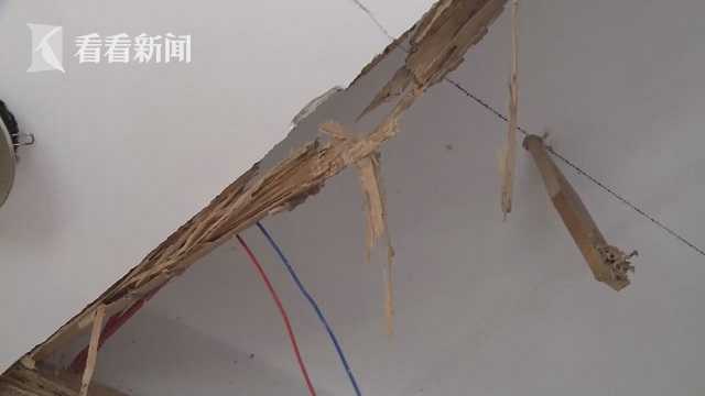 白蚁的破坏力有多强,一般什么白蚁会跑家里破坏