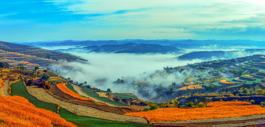 速看甘肃发布重要通知,速看甘肃省政府出台重要意见