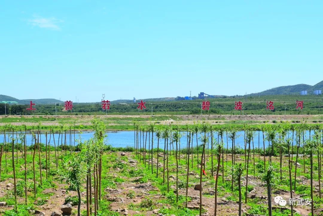 武安清化村南洺河生态走廊,武安洺河生态走廊