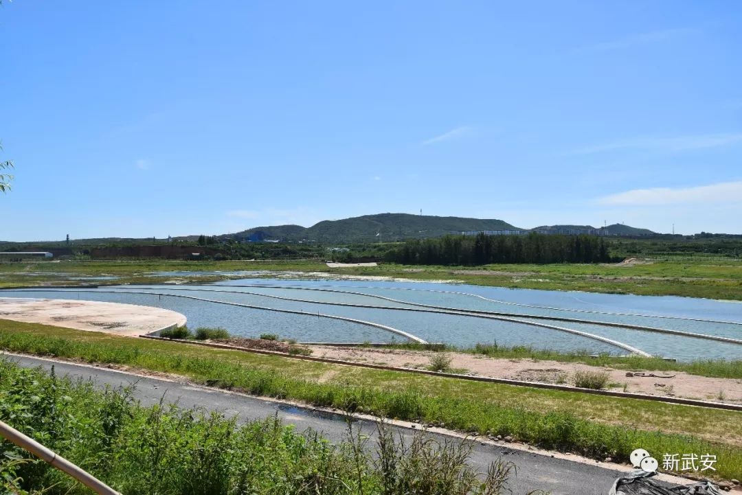 武安清化村南洺河生态走廊,武安洺河生态走廊