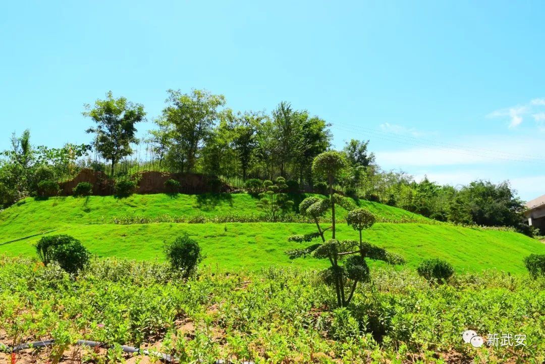 武安清化村南洺河生态走廊,武安洺河生态走廊