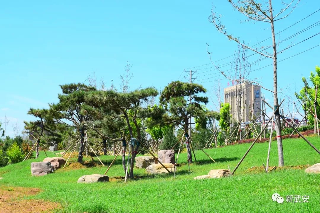 武安清化村南洺河生态走廊,武安洺河生态走廊