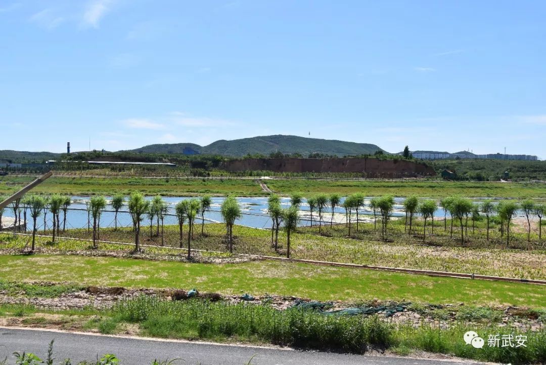 武安清化村南洺河生态走廊,武安洺河生态走廊