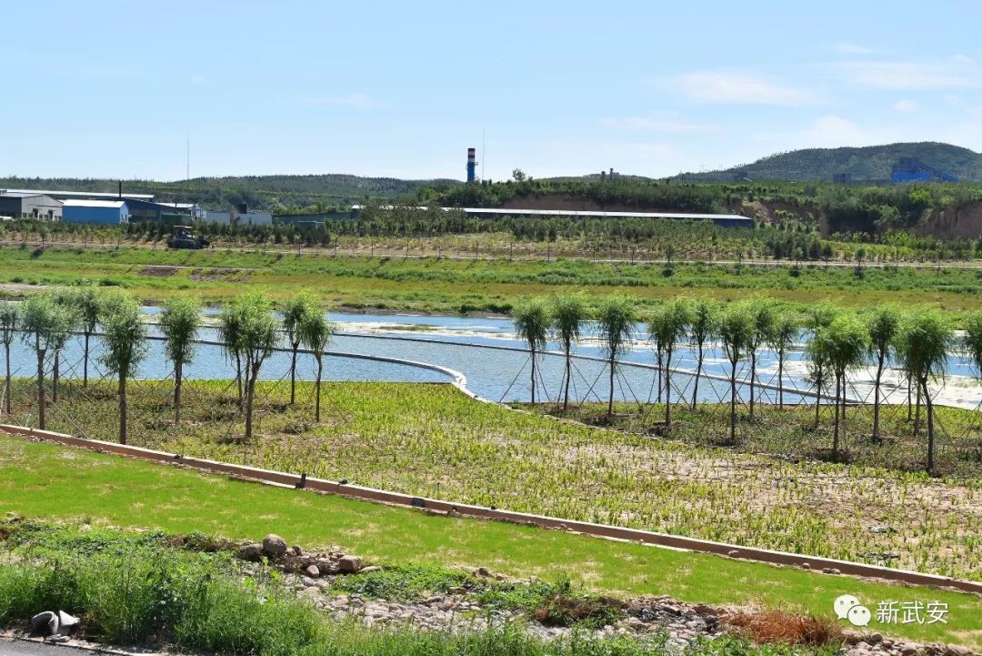 武安清化村南洺河生态走廊,武安洺河生态走廊