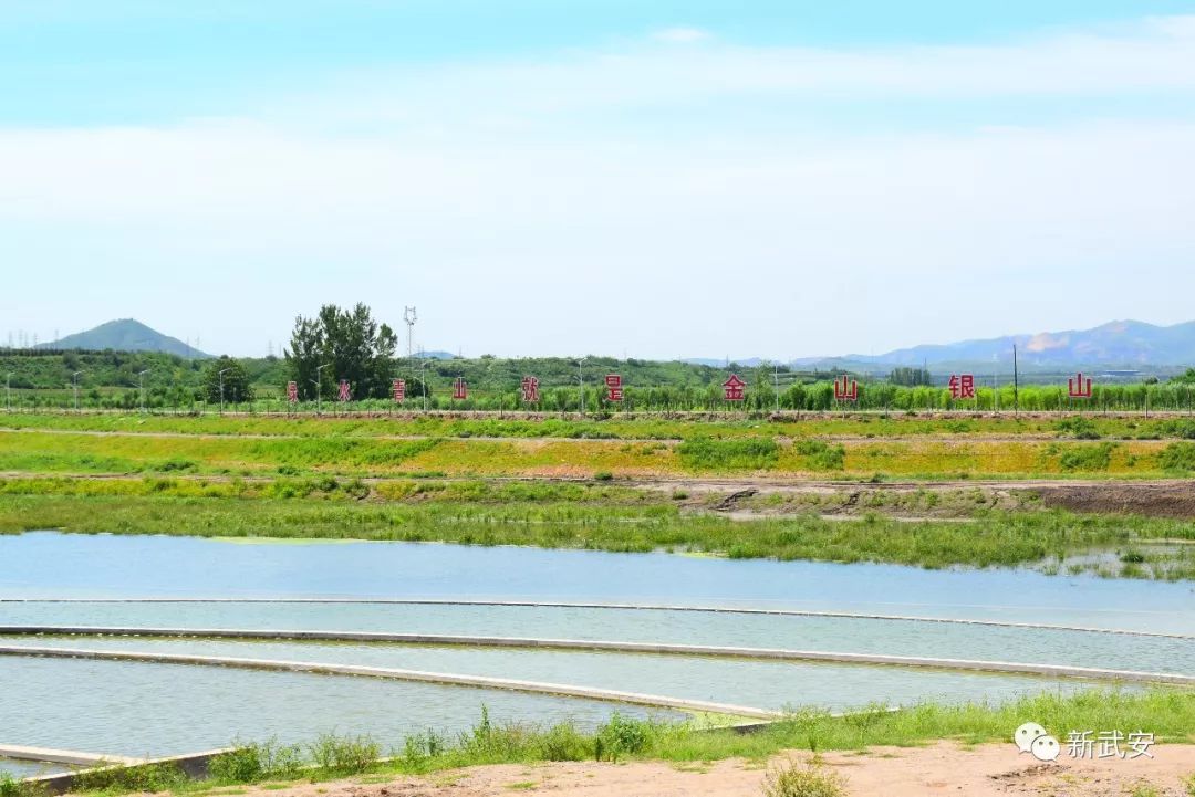 武安清化村南洺河生态走廊,武安洺河生态走廊
