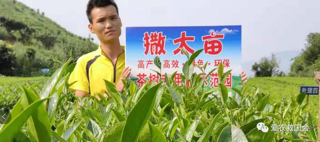 宀╄尪鍒惰尪鏁欏,鍒惰尪宸ヨ壓涓庤尪鏂囧寲