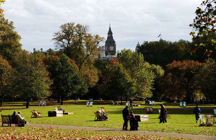 女王的柯基现在怎么样了,女王的柯基在线免费看全集完整版