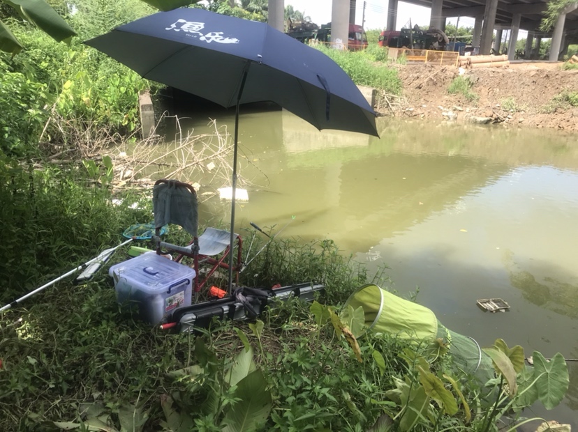 钓罗非防小罗非闹窝,钓罗非怎么避小罗非闹窝