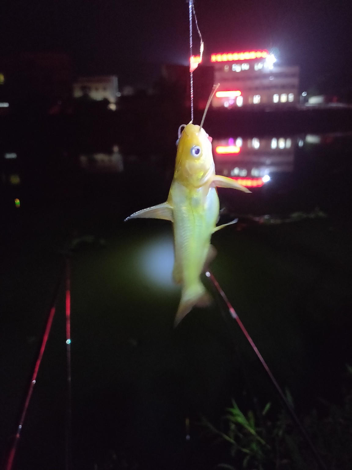 水情不稳定如何钓鱼,水情不明钓鱼必须每次都调漂吗