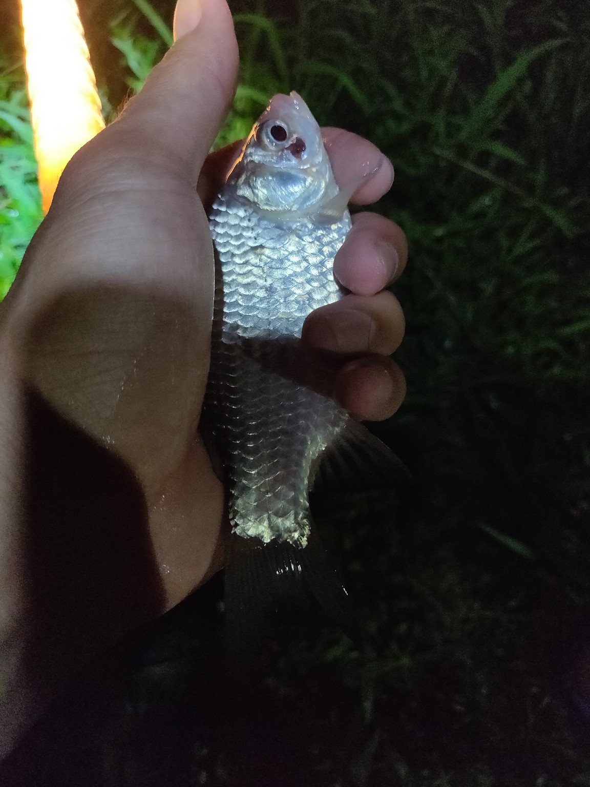 水情不稳定如何钓鱼,水情不明钓鱼必须每次都调漂吗