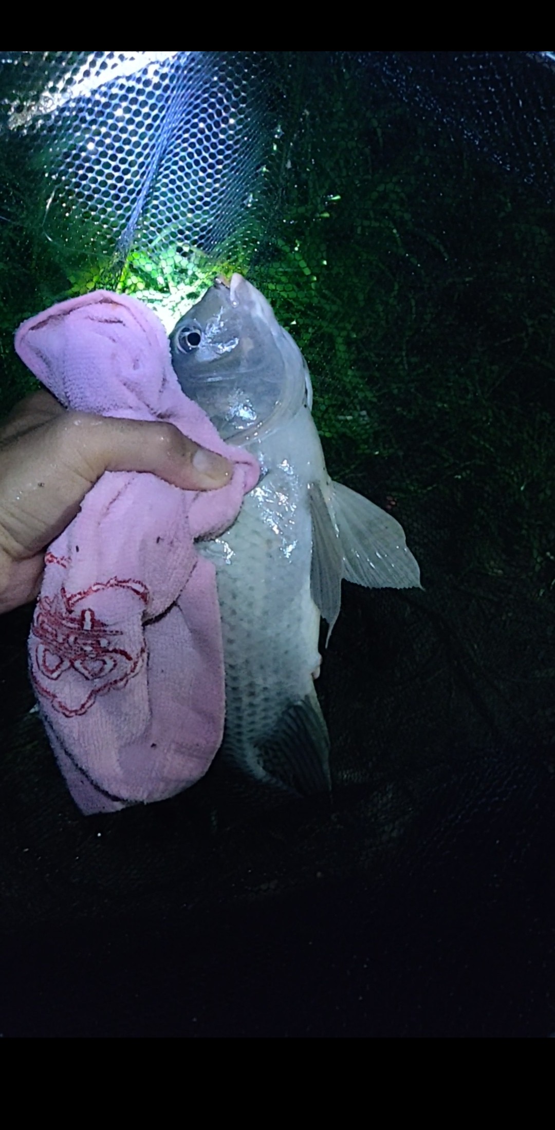 水情不稳定如何钓鱼,水情不明钓鱼必须每次都调漂吗