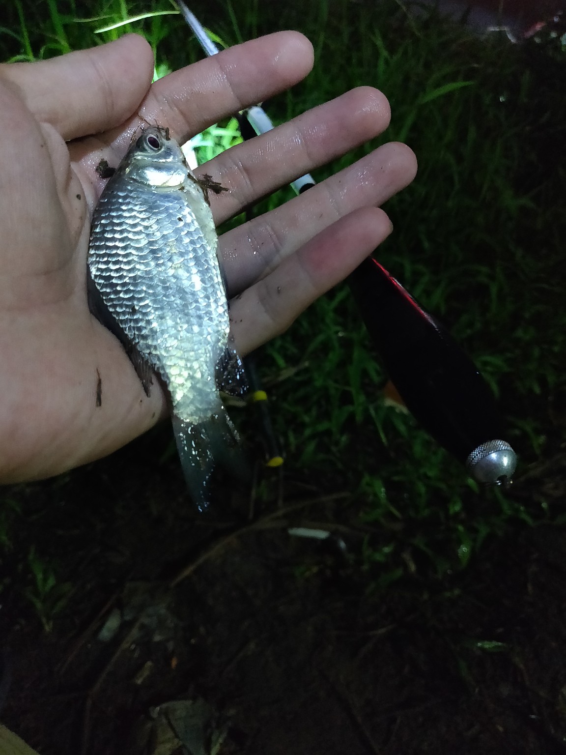 水情不稳定如何钓鱼,水情不明钓鱼必须每次都调漂吗