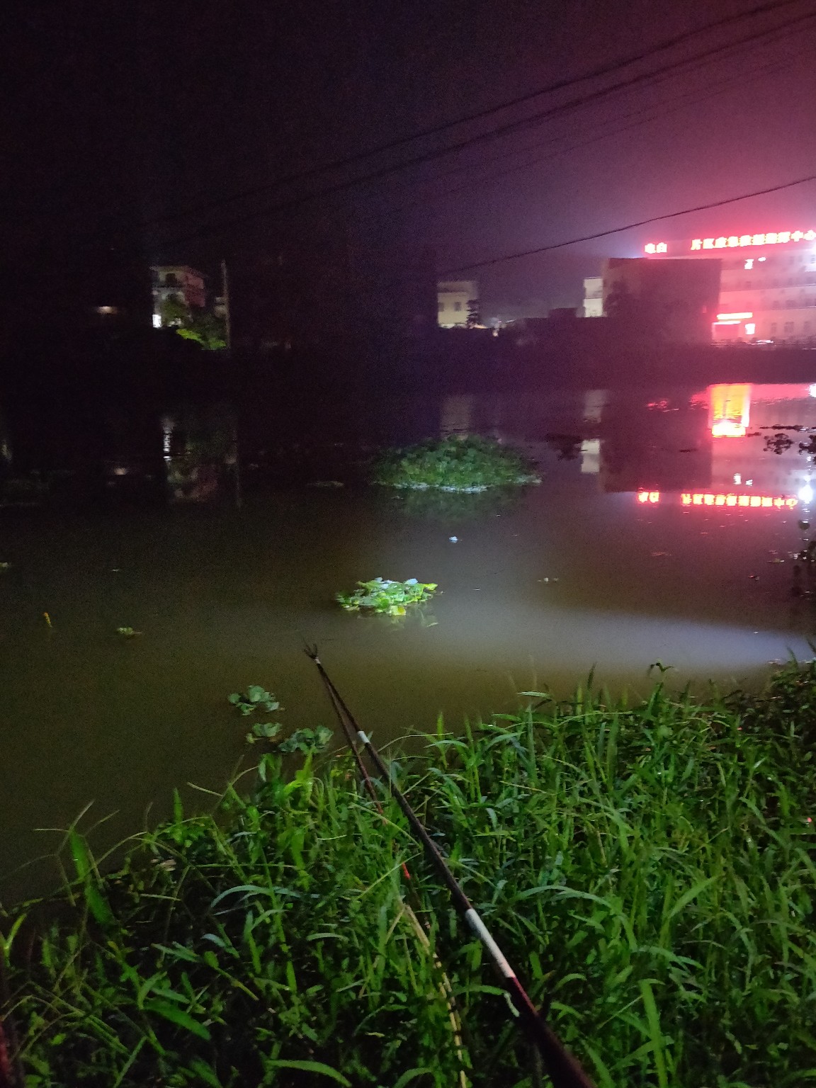 水情不稳定如何钓鱼,水情不明钓鱼必须每次都调漂吗