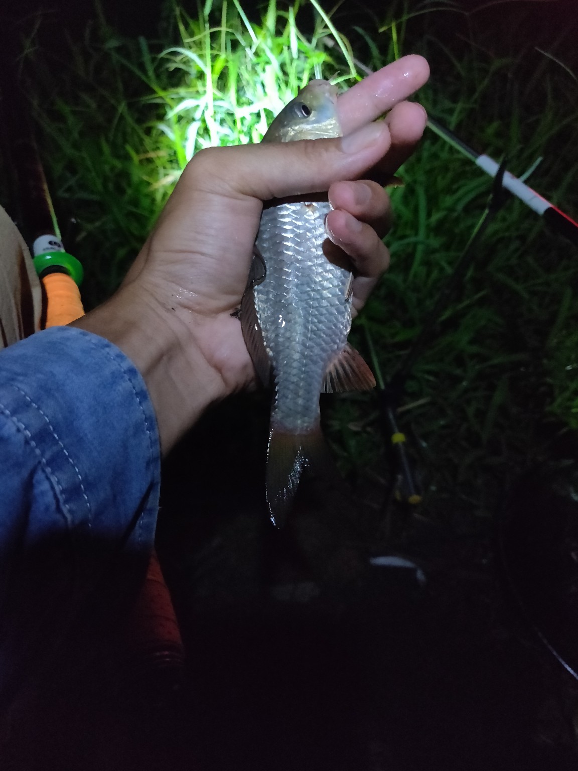 水情不稳定如何钓鱼,水情不明钓鱼必须每次都调漂吗