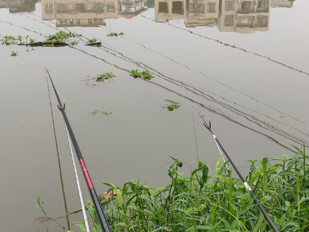 水情不稳定如何钓鱼,水情不明钓鱼必须每次都调漂吗