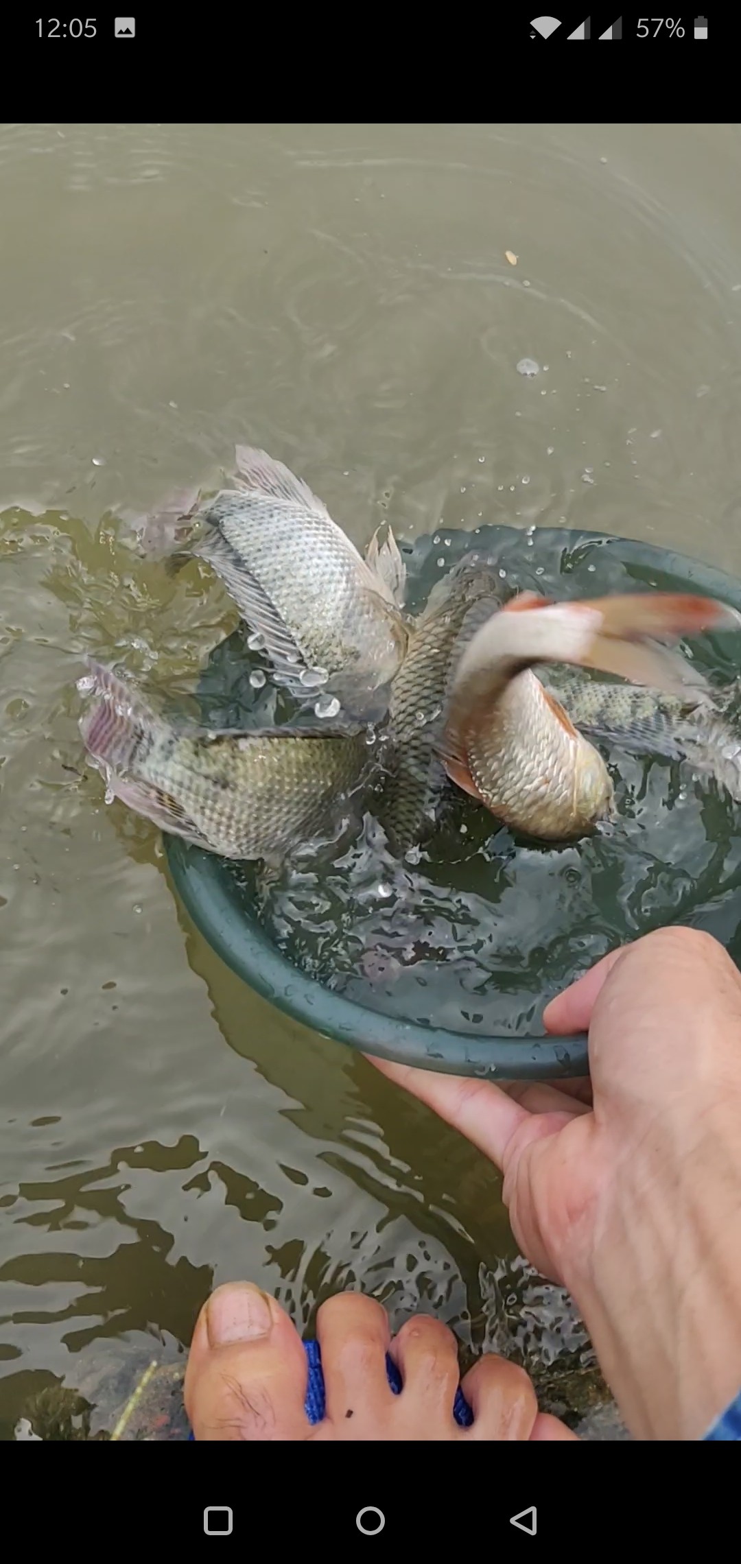 水情不稳定如何钓鱼,水情不明钓鱼必须每次都调漂吗