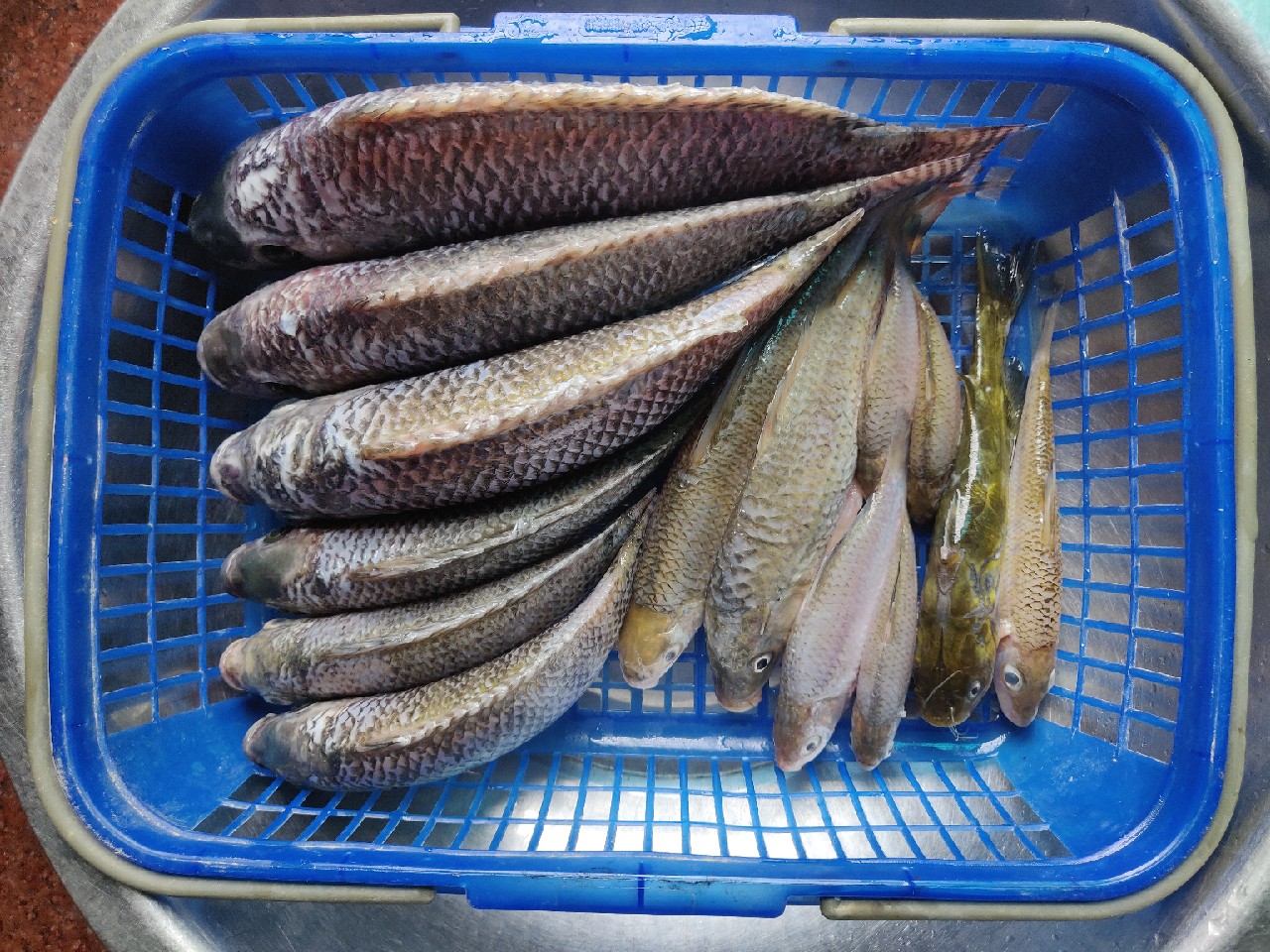 水情不稳定如何钓鱼,水情不明钓鱼必须每次都调漂吗