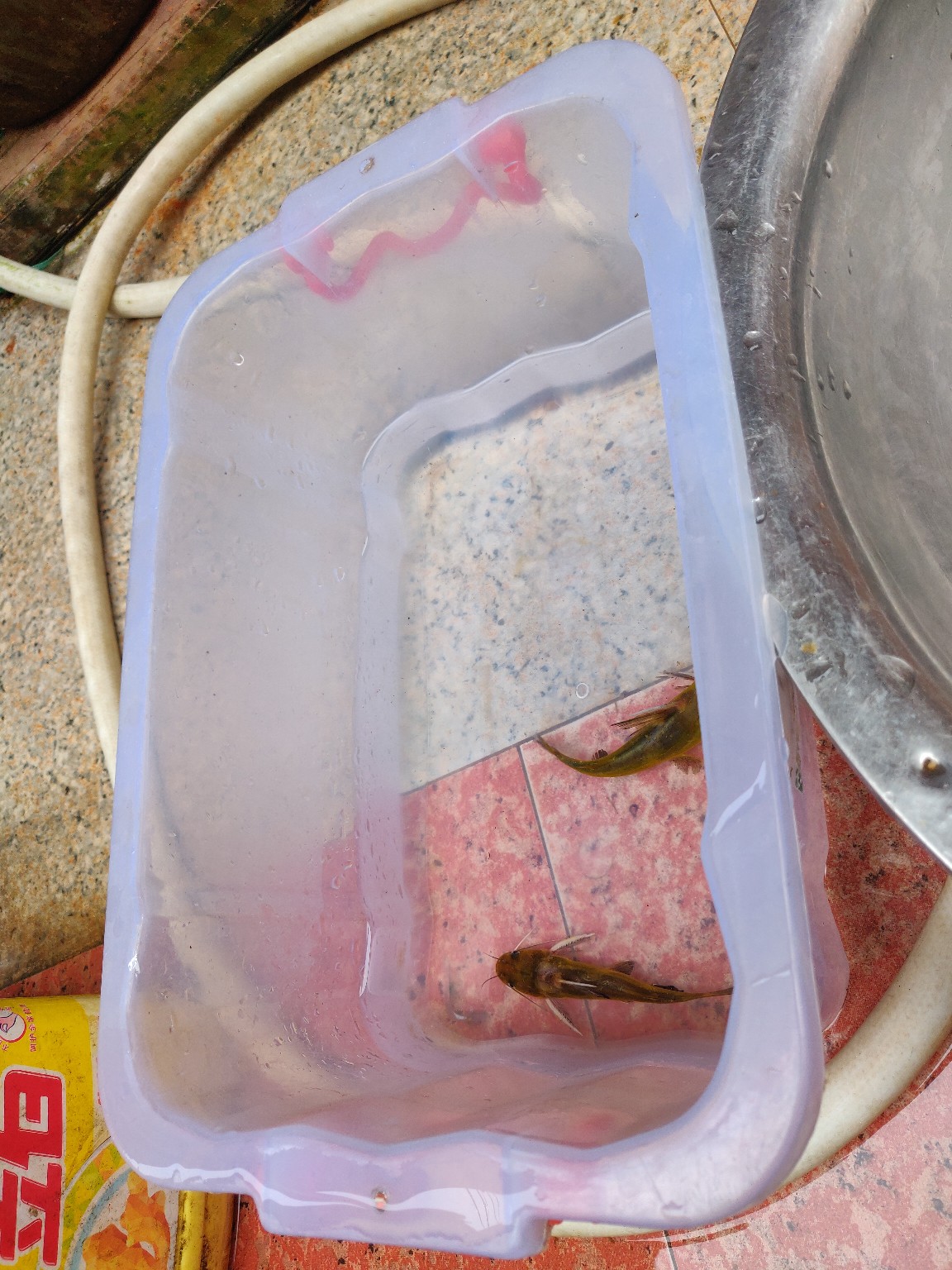 水情不稳定如何钓鱼,水情不明钓鱼必须每次都调漂吗