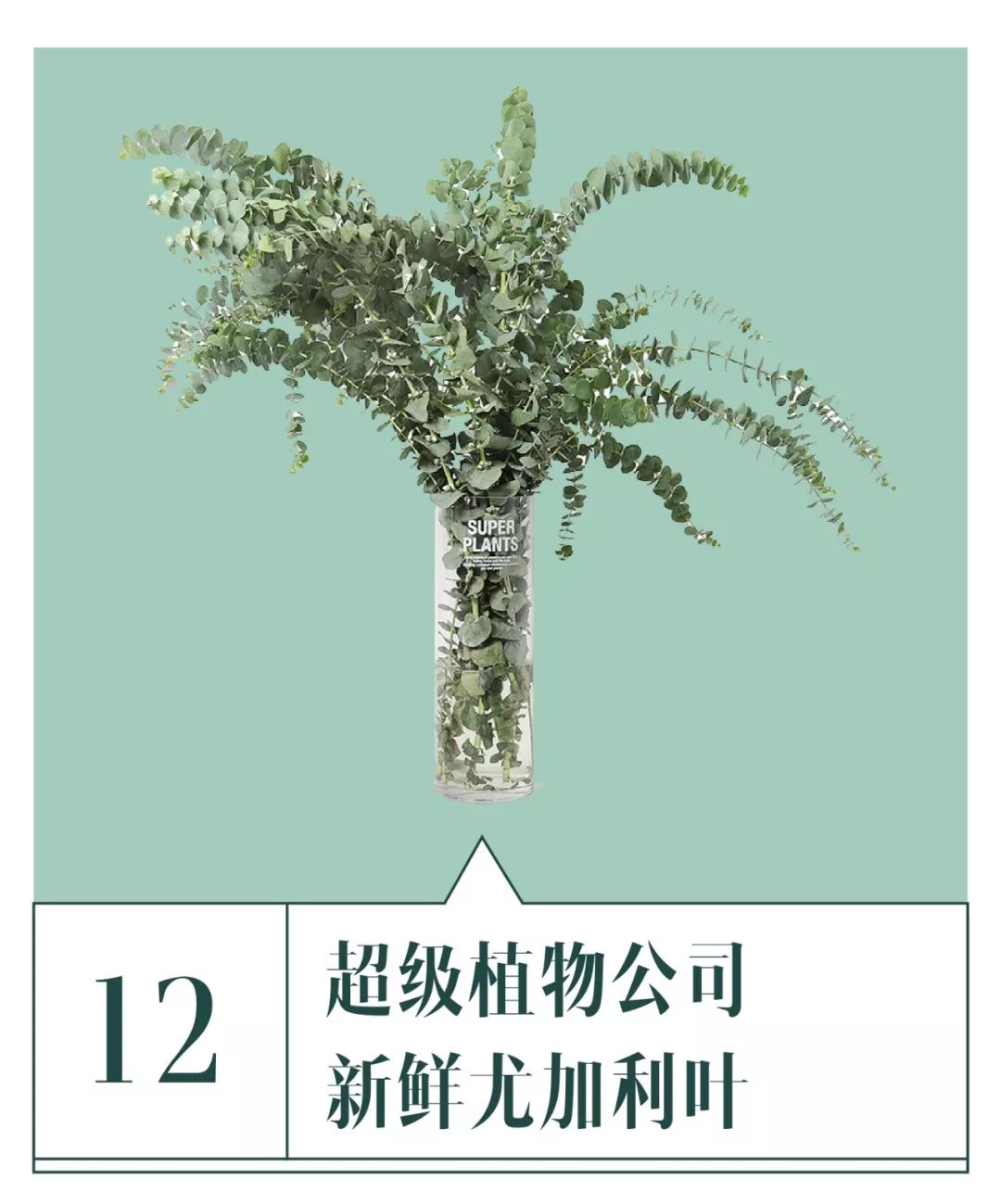 春季绿色单品大分享,今夏流行的绿色单品