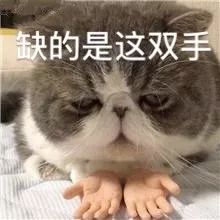 不靠p图靠化妆,不靠化妆靠p图