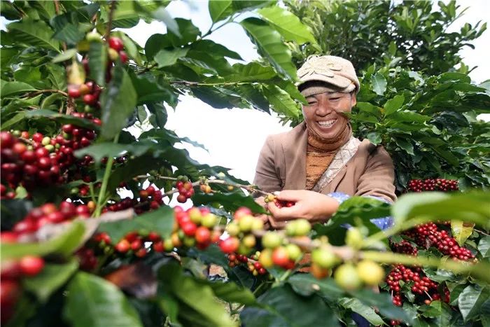 德钦县是云南最后一个县城吗,云南德钦县未来5年规划图