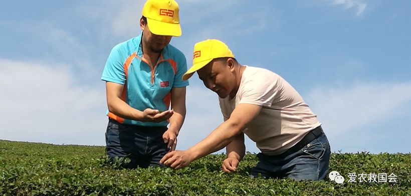 宀╄尪鍒惰尪鏁欏,鍒惰尪宸ヨ壓涓庤尪鏂囧寲