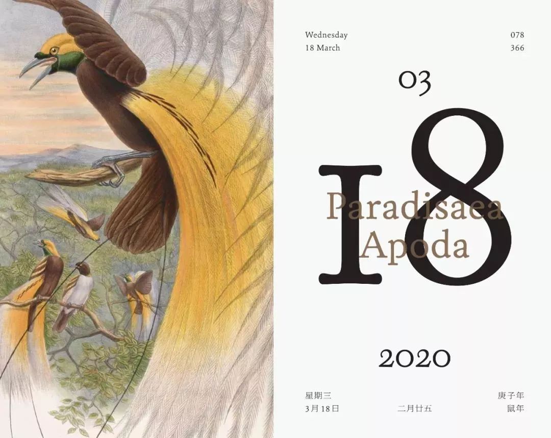 从书中读懂生活感悟,从读万卷书行万里路得到的启发