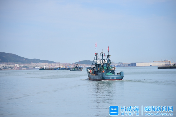 开海了一大波肥美海鲜正在上岸,开海了渔民满载而归