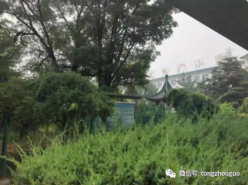 通州被吐槽的乡村小学翻身了!区长都来参加升级仪式了