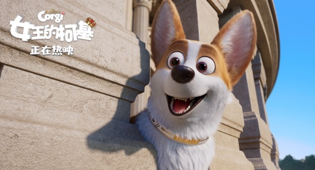 柯基小短腿回村后放飞自我了,小短腿终于翻身柯基