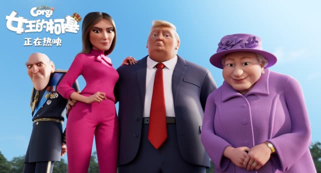 柯基小短腿回村后放飞自我了,小短腿终于翻身柯基