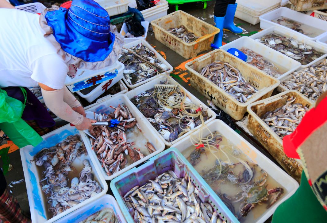 威海9.1开海后海鲜会降价吗,威海炫富是真的吗