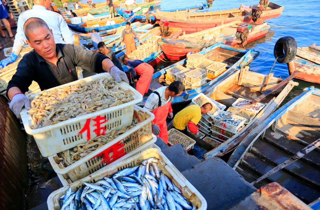 威海9.1开海后海鲜会降价吗,威海炫富是真的吗