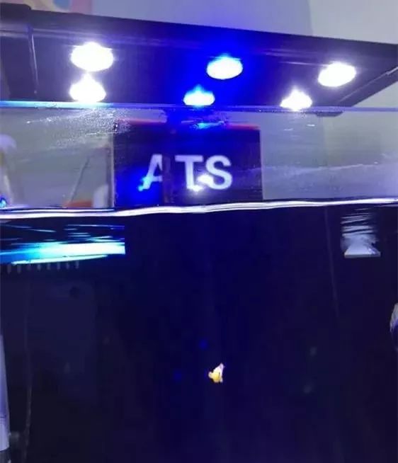 40方缸用背滤,40公分背滤