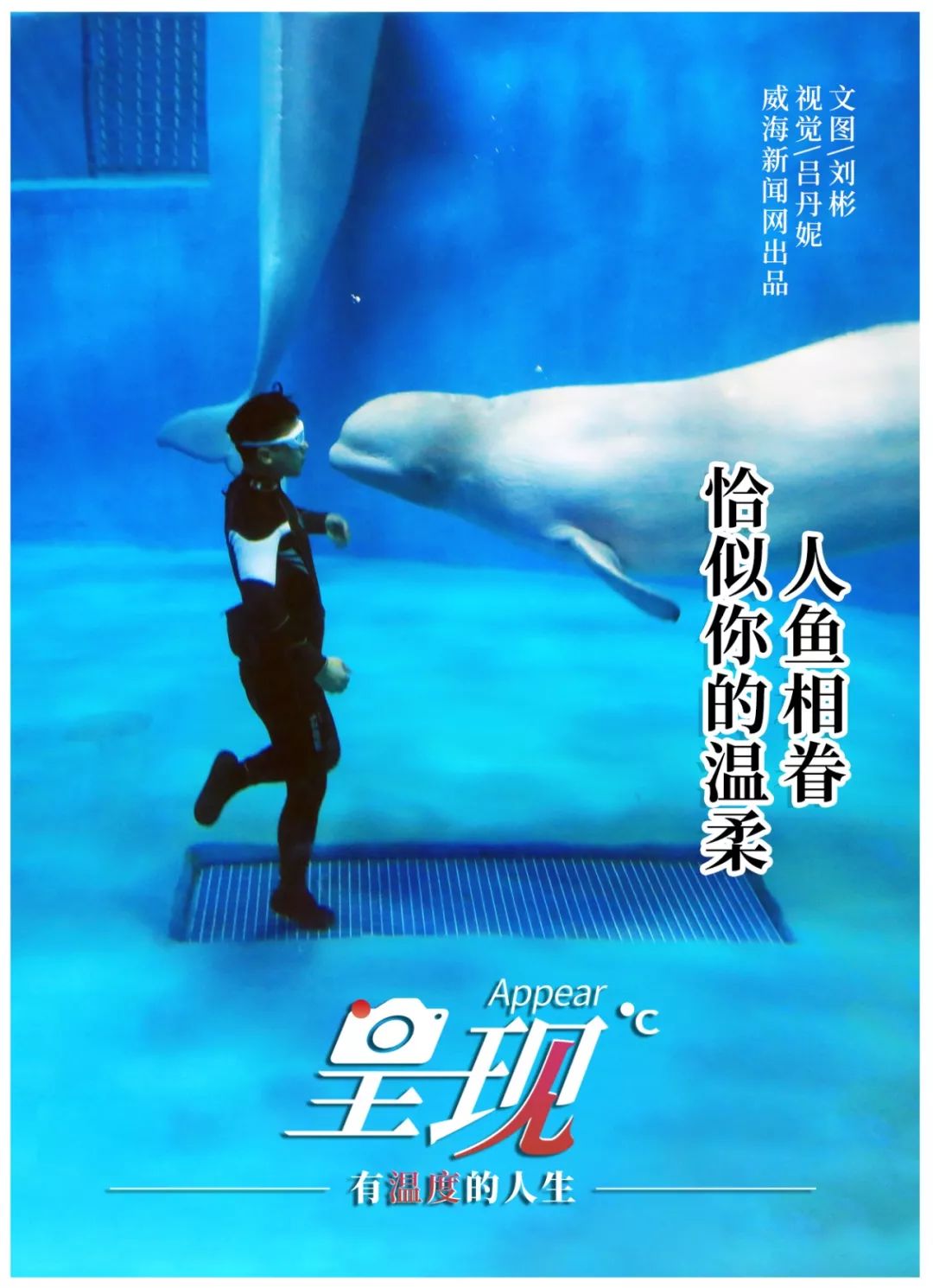 呈现|从海军战士到“海豚恋人”，人鱼相眷，恰似你的温柔……