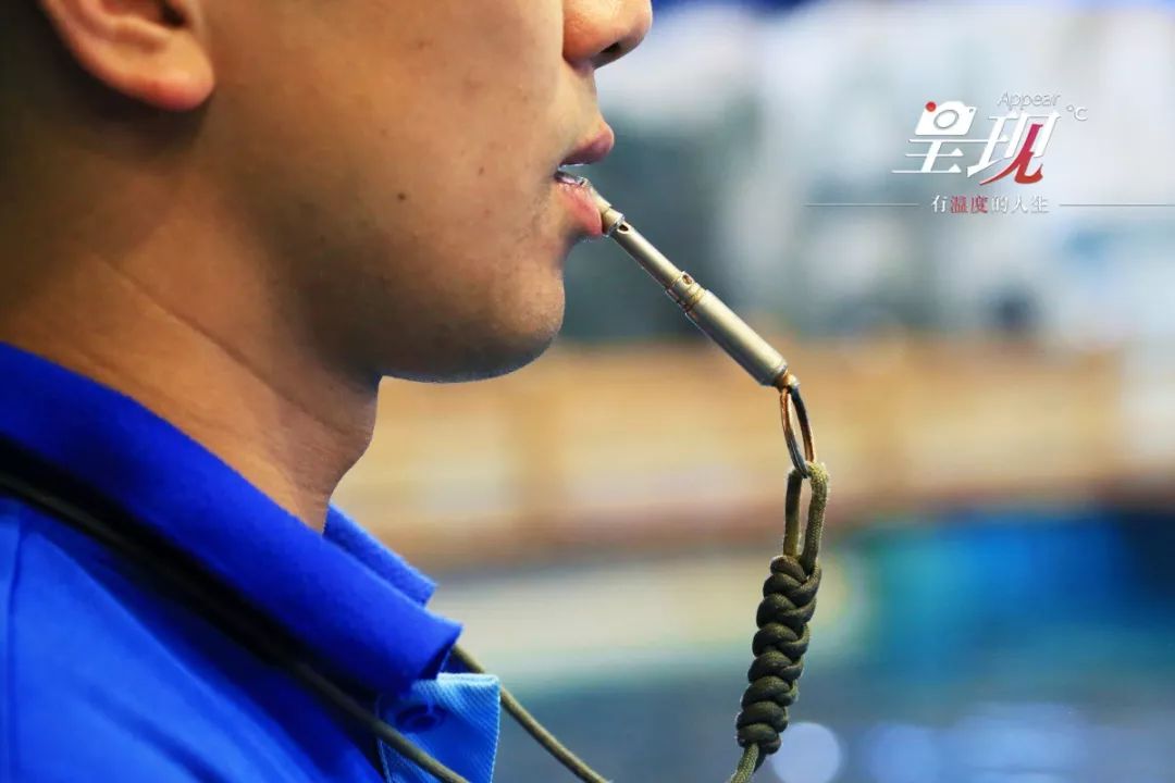 呈现|从海军战士到“海豚恋人”，人鱼相眷，恰似你的温柔……