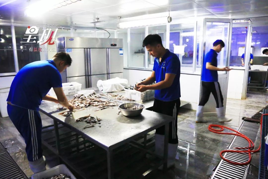 呈现|从海军战士到“海豚恋人”，人鱼相眷，恰似你的温柔……