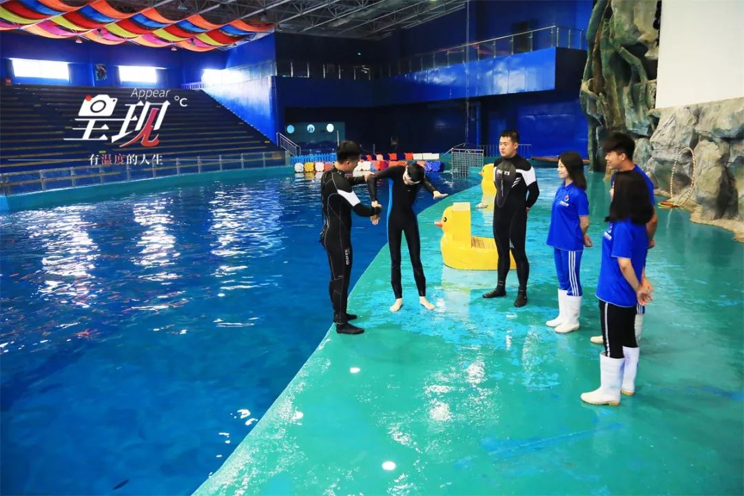 呈现|从海军战士到“海豚恋人”，人鱼相眷，恰似你的温柔……