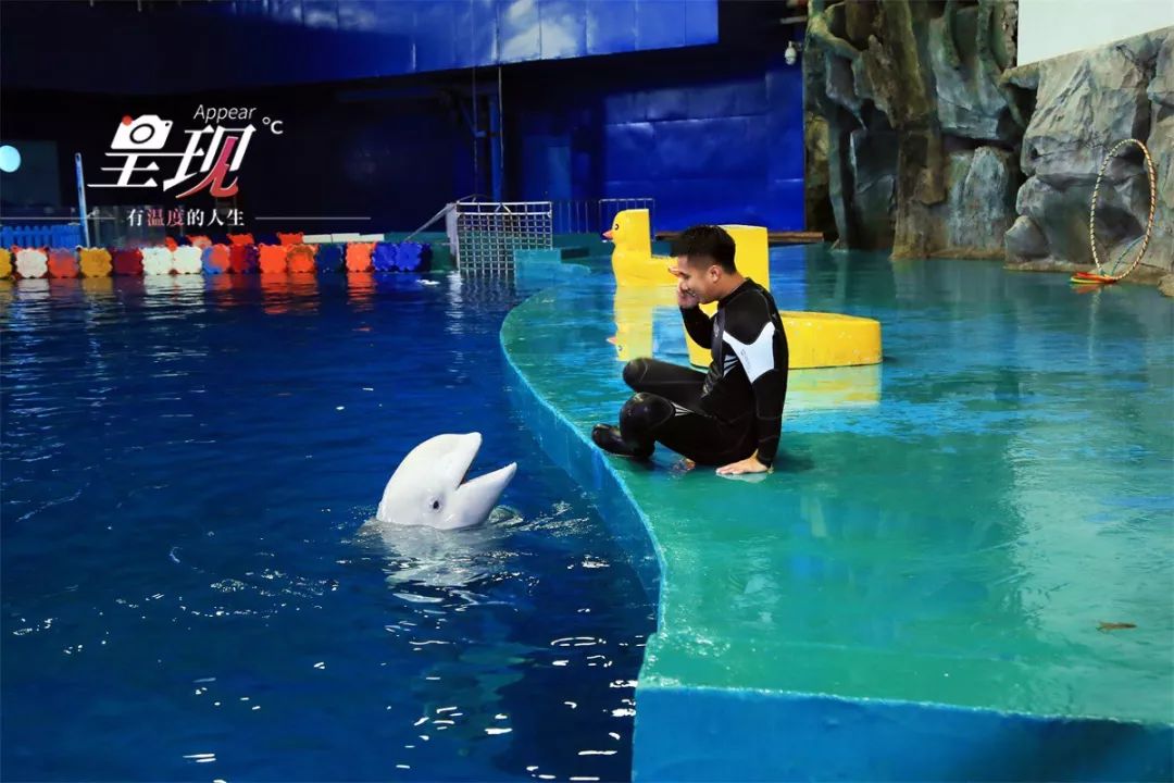 呈现|从海军战士到“海豚恋人”，人鱼相眷，恰似你的温柔……