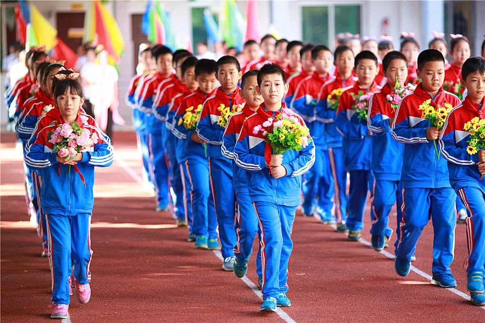 喜报学校获全省教育系统多项表彰,桂林崇善小学