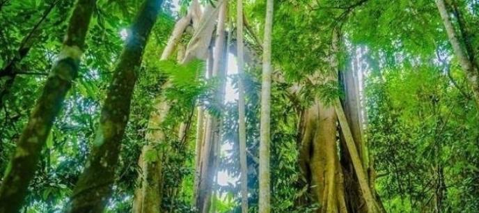 去云南必须去的几个地方旅游景点,云南十大旅游景点必去的地方