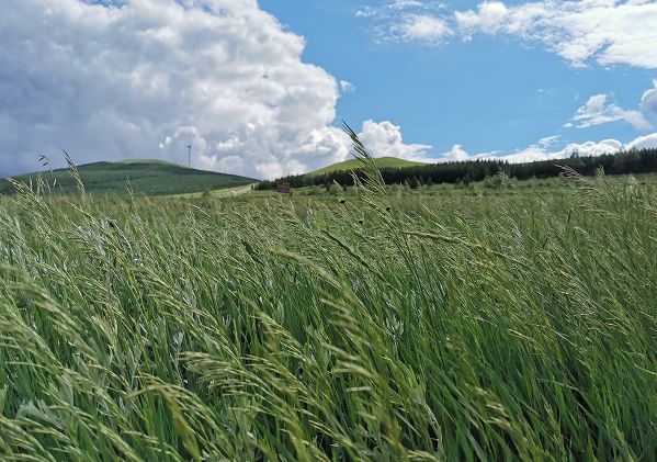 久视疲劳如何缓解,健康科普护眼