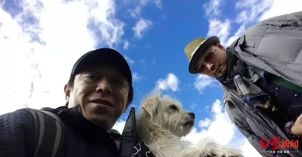 花万元克隆宠物猫狗,女子克隆宠物狗