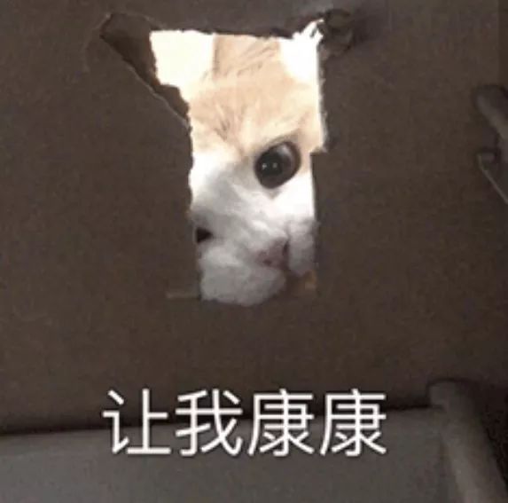 比白瓷肌更具高级感，“美黑”正在逐渐席卷亚洲了