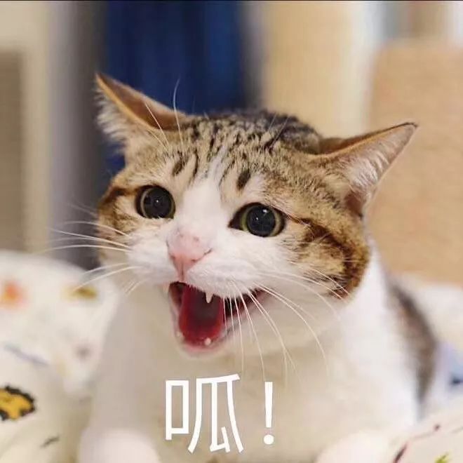 在公司应该怎么站位,在公司怎么摆正自己位置