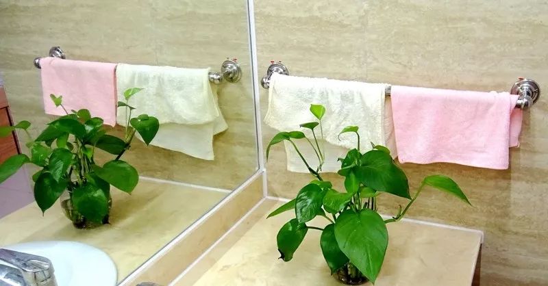 苏州版“开学第一课”，相城这学校竟然把中科院院士都请来了，又一家宝藏学校