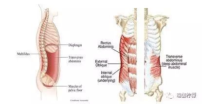 倒立如何稳定,倒立支撑的正确方法